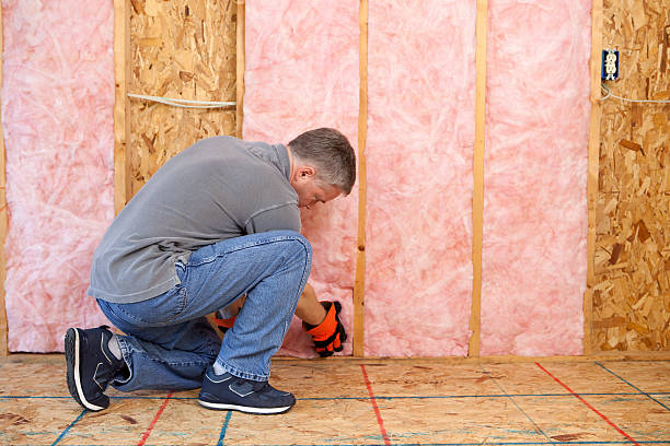 Best DIY Insulation Kits and Guidance in Waterville, NY